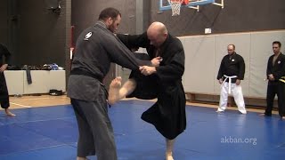 Ninjutsu kicks against MMA and Judo holds  Yossi Sheriff [upl. by Naashar556]