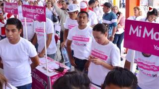 INE multará al PRI por tarjeta rosa en Coahuila [upl. by Lein1]