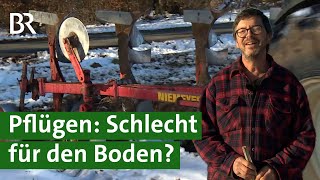 Bodenschutz am Acker Pflügen oder nicht  Doku Bio Landwirt  Landwirtschaft  Unser Land [upl. by Eladnyl]