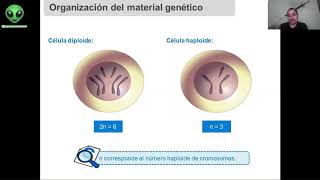 Resumen Biología 3 Mitosis Meiosis y Gametogénesis  Preparación Ética [upl. by Kironde]