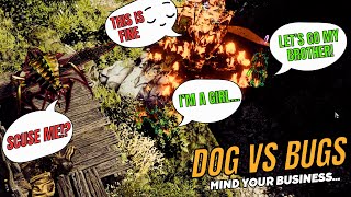 Dogs vs Bugs  Divinity OS2 Part 105 [upl. by Onfre658]