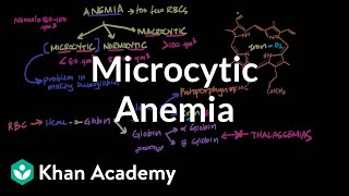 Microcytic anemia  Hematologic System Diseases  NCLEXRN  Khan Academy [upl. by Dlanor]