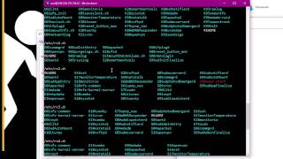 Hacking about with the Western Digital NAS [upl. by Aihsas85]