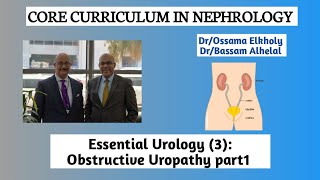 Essential Urology 3 Obstructive Uropathy part1 DrOssama Elkholy [upl. by Madden900]