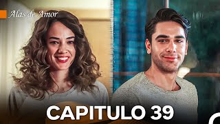 Alas de Amor Capitulo 39 Doblado En Español [upl. by Illom]