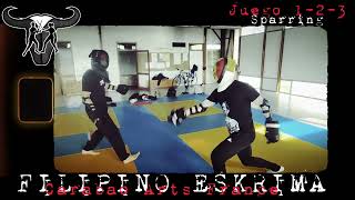 fight like you would like to live Largo Mano Eskrima ca1193 [upl. by Kong]