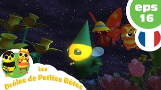 DRÔLES DE PETITES BÊTES  1 Heure  Compilation 03 [upl. by Averill]