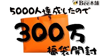 【検証】Bee本舗狂ってやがる。売れ残りの福袋にヤバすぎるやつが【遊戯王】 [upl. by Anielram848]