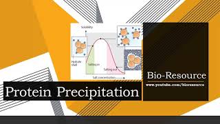 Protein Precipitation  Types Methods Principle Advantages and Disadvantages [upl. by Ailehs]