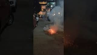 1000 rally fireworks  Happy Diwali 🎇🪔fireworks skyshot diwali special shorts youtubeshorts [upl. by Retepnhoj]