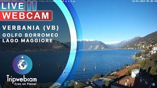 Verbania Live cam  Golfo Borromeo Lago Maggiore [upl. by Thalassa]