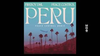 Fireboy DML  Peru Peace Control Remix [upl. by Attenahs]