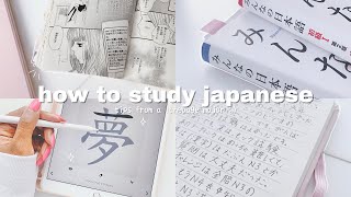 how i study japanese tips from an actual language major  THE ULTIMATE GUIDE [upl. by Ellga978]