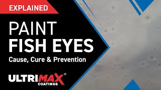 Explained What Causes Fish Eyes In Paint Finish [upl. by Leanahtan]