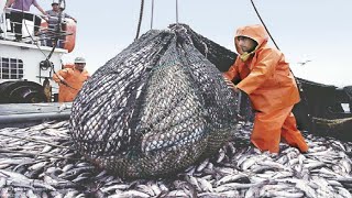 Temporada de pesca de bonito en alta mar [upl. by Layne]