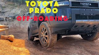 Toyota Prado offroading [upl. by Brant]