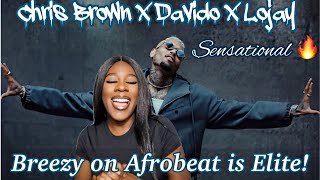 Chris Brown  Sensational Ft Davido amp Lojay Reaction  Breezy on Afrobeat 🔥🔥 [upl. by Halimak]