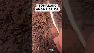 HINDI LANG SI QUIBOLOY ANG HINUHUKAYsavings money best Movers love tiktok fb yt style [upl. by Aillij]