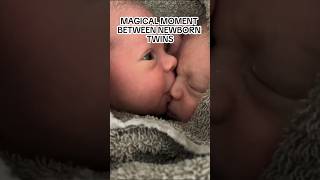 ✨Magical✨ I would birth twins to see this 🥹 SOUND ON [upl. by Aehsel428]