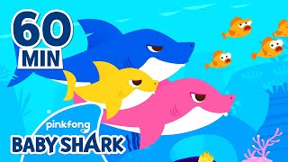 Baby Shark Doo Doo Doo 60 Min  Compilation  Baby Shark Remix  Baby Shark Official [upl. by Mahmud]