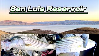 San Luis Reservoir Fishing Below Romero Overlook Visitor Center [upl. by Reede478]