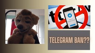 Telegram Banned in Spain Explained  18 million furries blocked [upl. by Nnayrrehs]