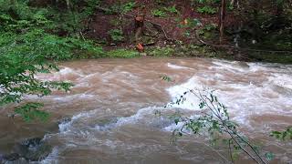 Esopus Creek  The Catskills [upl. by Wooster764]