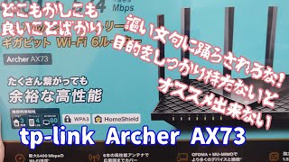 【TPLink Archer AX73】こんな場合は買わない方が良い [upl. by O'Kelly]