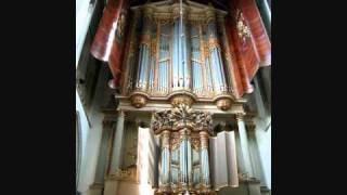 HWalcha Bach Toccata amp Fugue BWV 540 12 [upl. by Aelyk]