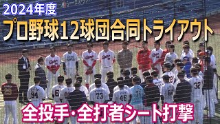 【プロ野球12球団合同トライアウト】元巨人の陽岱鋼など45人が参加／全投手全打者シート打撃ダイジェスト [upl. by Modnar543]