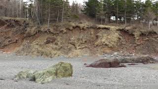 Arisaig Antigonish NS April 21 2019 [upl. by Maloy]