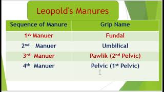 Leopolds Maneuver [upl. by Aniala255]