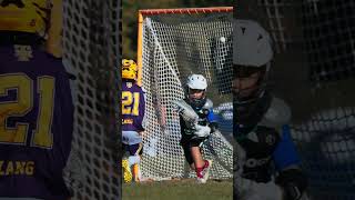 NH Tomahawks 2033 Purple Goal [upl. by Yeslah]