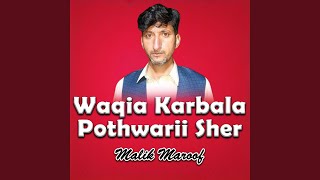 Waqia Karbala Pothwarii Sher [upl. by Oretos]