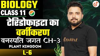 Classification of Pteridophytes  वनस्पति जगत Class 11 Biology Chapter 3  Plant Kingdom  L  6 [upl. by Ssilb]