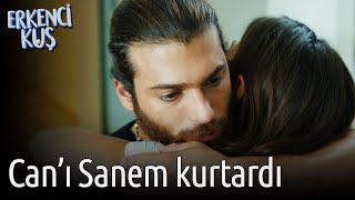 Erkenci Kuş  Canı Sanem Kurtardı [upl. by Eissed669]