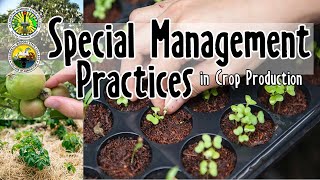 Special Management Practices in Crop Production  Lecture Discussion BSA2 [upl. by Sarena]