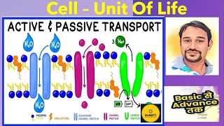 Transport Across Cell Membrane  Active amp Passive NCERT CBSE Class 11 NEET [upl. by Yelyak683]