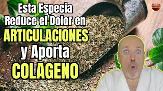 😱 ESTA ESPECIA REDUCE EL DOLOR EN LAS ARTICULACIONES Y APORTA COLAGENO 😱 [upl. by Gothart]