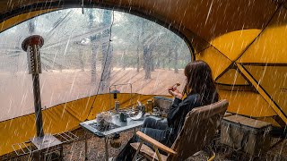 Camping in the Rain  Camping Alone in a pine forest where it rains 24 hours all day [upl. by Cirtemed]