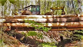 Must See Mechanical logging [upl. by Susejedairam180]