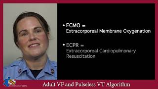 EMS Update 2024 Adult VF and Pulseless VT Algorithm [upl. by Anaujit]