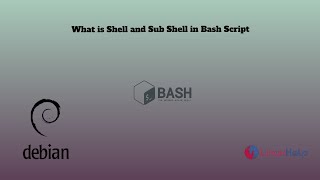 What is Shell and Sub Shell in Bash Script [upl. by Kcinimod984]