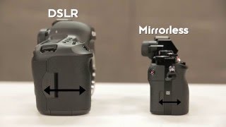 Understanding DSLR vs Mirrorless Cameras [upl. by Michella415]