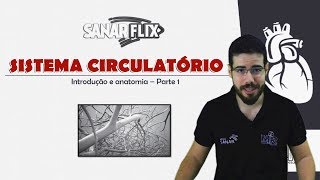 Sistema Circulatório  Definições tipos de vasos sanguíneos e circulações funções e estrutura [upl. by Enibas563]