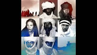 Tinariwen  Tenhert Official Audio [upl. by Phelips]