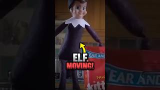 Elf on the Shelf caught on camera elf santa shorts [upl. by Easlehc]