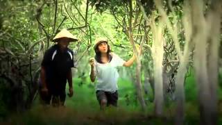 Video Promosi Wisata Jawa Timur  Wonderful Indonesia  East Java [upl. by Nodle]