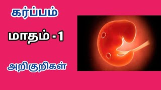 Early pregnancy symptoms and fetus development in tamil  first month of pregnancy symptoms in tamil [upl. by Arianna375]