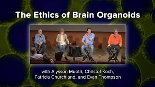 The Ethics of Brain Organoids with Alysson Muotri Christof Koch Patricia Churchland Evan Thompson [upl. by Gatias]